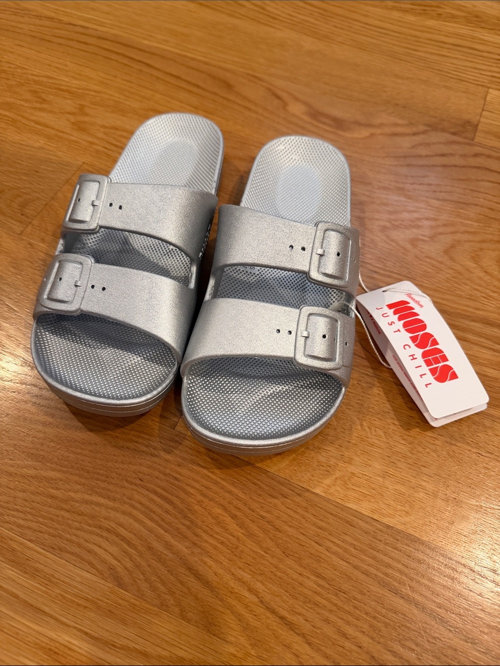 NWT Freedom Moses Silver Metallic Slide Sandals